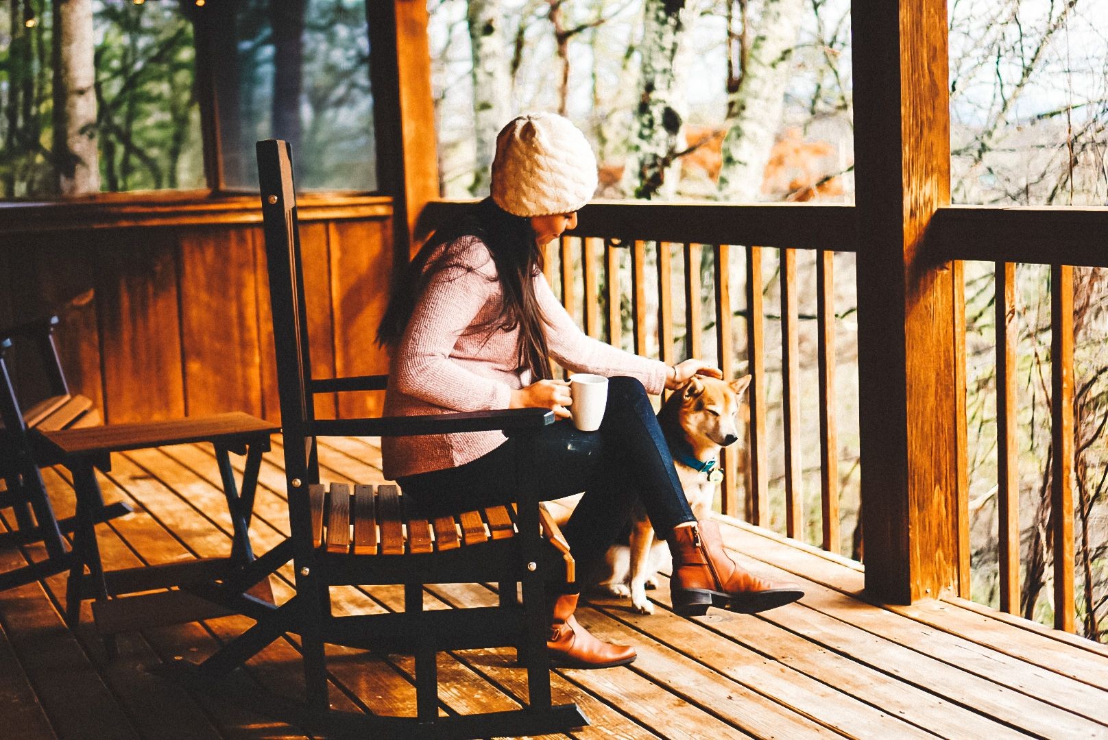 Pet-Friendly Accommodations